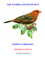 front cover featuring image of a red avadavat.