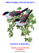 front cover featuring image of black-crowned waxbills