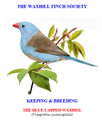 front cover featuring image of a blue-capped waxbill.