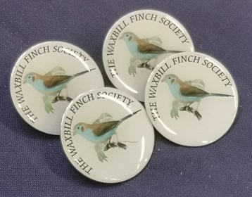 four WFS badges each featuring a picture of a red-cheeked Cordon Bleu.