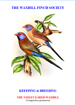front cover featuring image of a violet-eared waxbill.