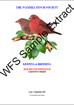 Sample cover of a red-billed firefinch